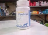 caninus protein