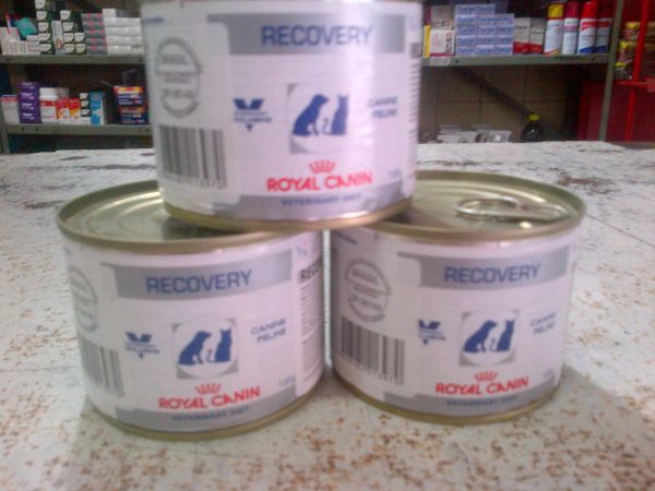 recovery royal